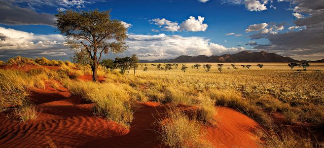 south africa private tours